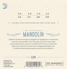 Cordes de mandolines D'Addario EJ73 Cordes de mandolines - 2