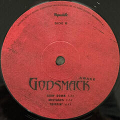Schallplatte Godsmack - Awake (2 LP) - 3
