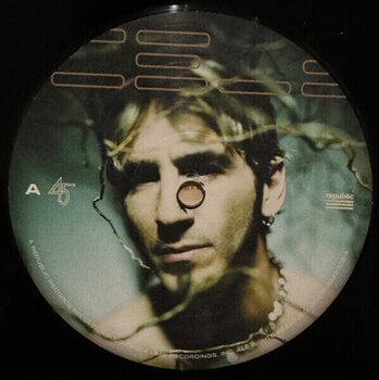 LP ploča Godsmack - Faceless (2 LP) - 3