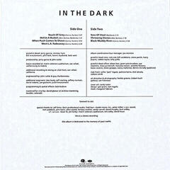 Vinyl Record Grateful Dead - In The Dark (Remastered) (Silver Coloured) (LP) - 4