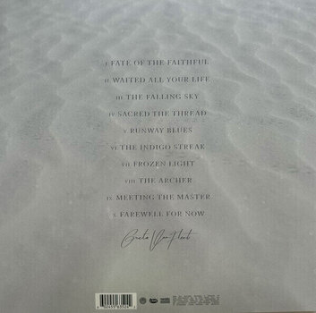 Vinylskiva Greta Van Fleet - Starchatcher (Clear Coloured) (LP) - 3