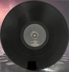 LP plošča Imagine Dragons - Night Visions (2 LP) - 2