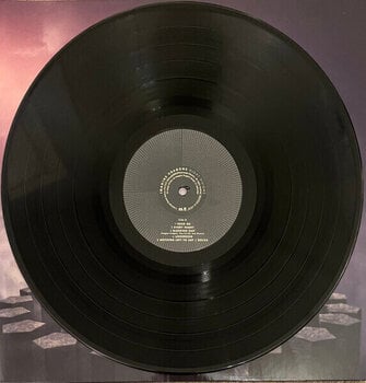 Vinüülplaat Imagine Dragons - Night Visions (2 LP) - 4