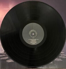 LP plošča Imagine Dragons - Night Visions (2 LP) - 4