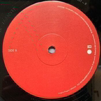 Vinylskiva Imagine Dragons - Origins (2 LP) - 4