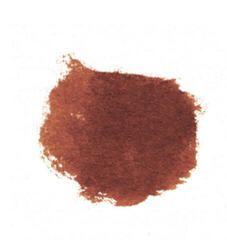 Viltstift Akashiya SAI Japanese Aquarelpennen 10 Brown 1 stuk - 1