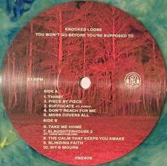 LP platňa Knocked Loose - You Won't Go Before You're Supposed to (Algae Marble Coloured) (LP) - 2