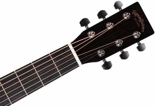 Akoestische gitaar Sigma Guitars DR-ST-WF - 5