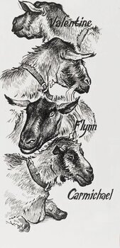 Pixur cu pâslă Faber Castell 82.2901 Set de markere 4 Bucăți - 4