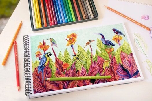 Pastellpliiats Faber Castell Polychromos Värvipliiats 24 tk - 6