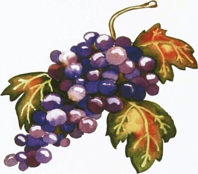 Watercolour Paint Daniel Smith 13.1902 Set of Watercolour Paints Secondary Colors 3 x 15 ml - 6