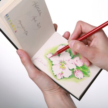 Скицник Hahnemühle D&S Draw & Sketch Скицник 160 25 x 25 cm 140 g Black - 3