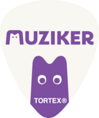 Guitarra elétrica Pasadena ST-11 SET 80W Sky Blue Guitarra elétrica - 5