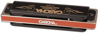 Diatonična ustna harmonika Cascha HH 1610 EN Professional Blues Set Diatonična ustna harmonika - 4