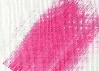 Primer Liquitex Basics Acrylic Medium 473 ml 1 pc - 1