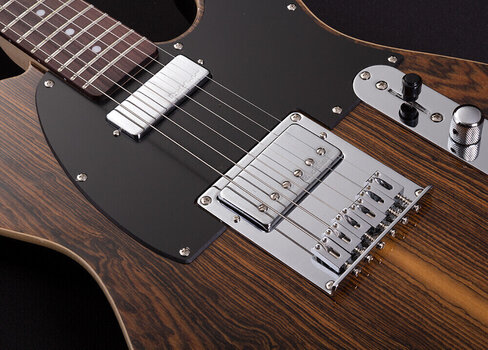 Elektrická gitara Michael Kelly 1955 Custom Collection Striped Ebony Elektrická gitara - 3