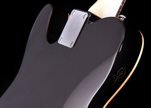 Elektrická gitara Michael Kelly 1955 Custom Collection Striped Ebony Elektrická gitara - 4