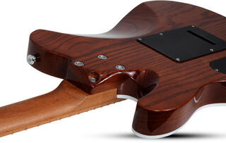Chitară electrică Schecter PT Van Nuys Gloss Natural Ash Chitară electrică - 5