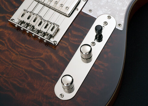 Elektrická kytara Michael Kelly Enlightened 55 Dark Tiger's Eye Elektrická kytara - 3