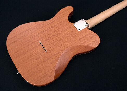 Elektrická kytara Michael Kelly Enlightened 55 Dark Tiger's Eye Elektrická kytara - 4