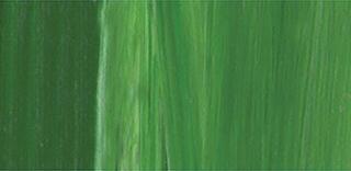 Tinta acrílica Lukas Cryl Studio Tinta acrílica Permanent Green Light 250 ml 1 un. - 1