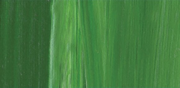 Akrilna barva Lukas Cryl Studio Akrilna barva Permanent Green Light 250 ml 1 kos - 2