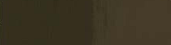 Akrylmaling Lukas Cryl Studio Akrylmaling Royal Oak 250 ml 1 Stk. - 2