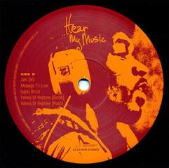 Schallplatte Jimi Hendrix - Hear My Music (200g) (2 LP) - 4