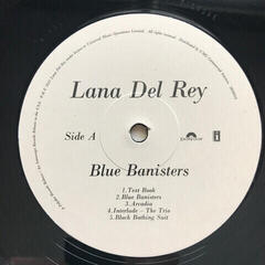 Vinylskiva Lana Del Rey - Blue Banisters (2 LP) - 2