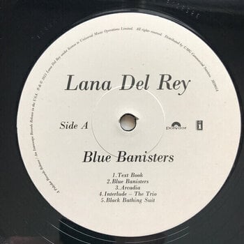 Disc de vinil Lana Del Rey - Blue Banisters (2 LP) - 3