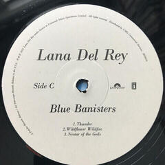 Vinylskiva Lana Del Rey - Blue Banisters (2 LP) - 4