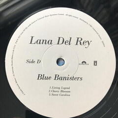 Vinylskiva Lana Del Rey - Blue Banisters (2 LP) - 5