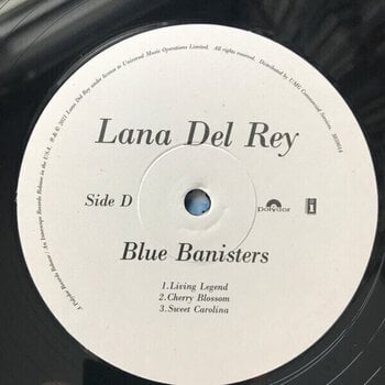 Disc de vinil Lana Del Rey - Blue Banisters (2 LP) - 6