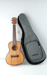 Ukulele da Concerto Cascha HH 2036 Premium Natural Ukulele da Concerto (Seminuovo) - 1