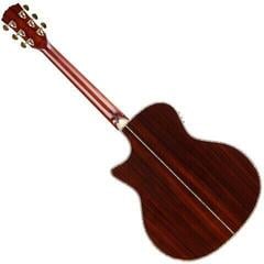 elektroakustiline kitarr Arrow Platinum A CE Sitka Rosewood - 1