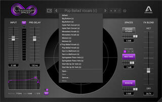 Studiový softwarový Plug-In efekt Apogee Clearmountain's Spaces (Digitální produkt) - 1