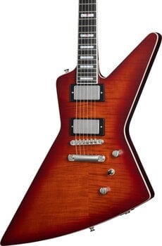 E-Gitarre Epiphone Extura Prophecy Aged Bengal Tiger Burst E-Gitarre - 4