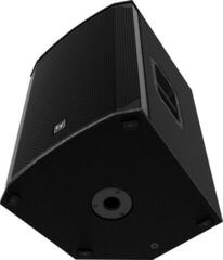 Passive Loudspeaker Electro Voice EKX-15 Passive Loudspeaker - 2