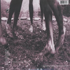 Грамофонна плоча Pearl Jam - Vs. (Remastered) (LP) - 2