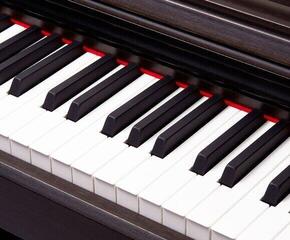 Digitálne piano Pearl River V03 Digitálne piano Palisander - 4