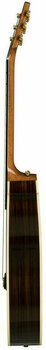 Guitare acoustique-électrique Gibson Parlor AG 2019 Rosewood Burst - 2
