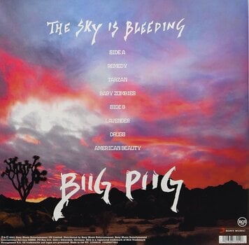 LP deska Biig Piig - The Sky Is Bleeding (LP) - 2