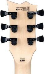 Elektrická kytara ESP LTD WA-WARBIRD Black with Graphic Elektrická kytara - 5