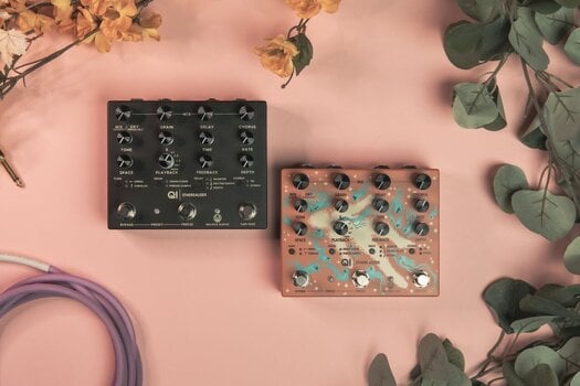 Gitarren-Multieffekt Walrus Audio Qi Etherealizer Gitarren-Multieffekt - 6