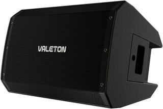 Gitarren-Lautsprecher Valeton VRF-110 Gitarren-Lautsprecher - 1