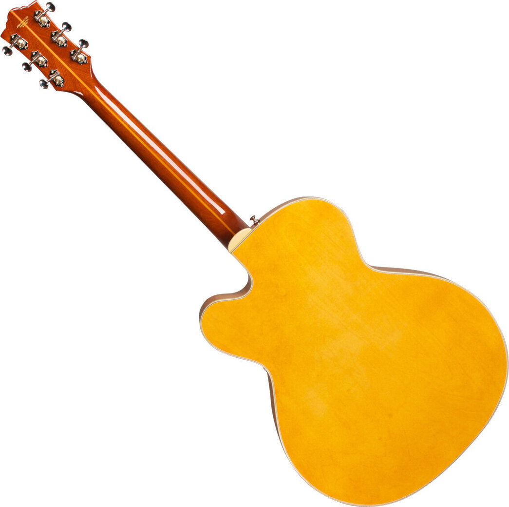 Gitara s dutým telom