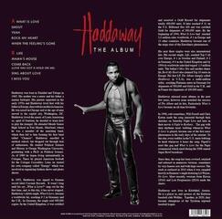 Vinyl Record Haddaway - The Album (Yellow Transparent Coloured) (LP) - 2