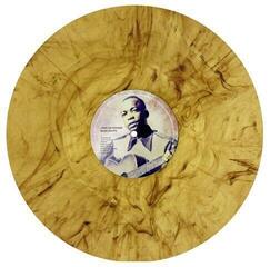 Hanglemez John Lee Hooker - Blues Roots (Marbled Coloured) (LP) - 2