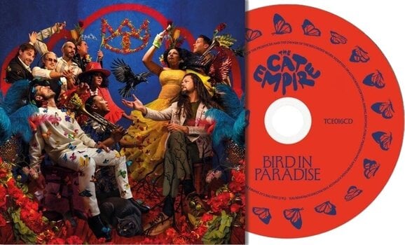 Muusika CD The Cat Empire Bird in Paradise (CD) - 2