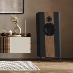 Hi-Fi Sloupový reproduktor Heco Direkt Premium Hi-Fi Sloupový reproduktor Black/Walnut 1 ks - 2